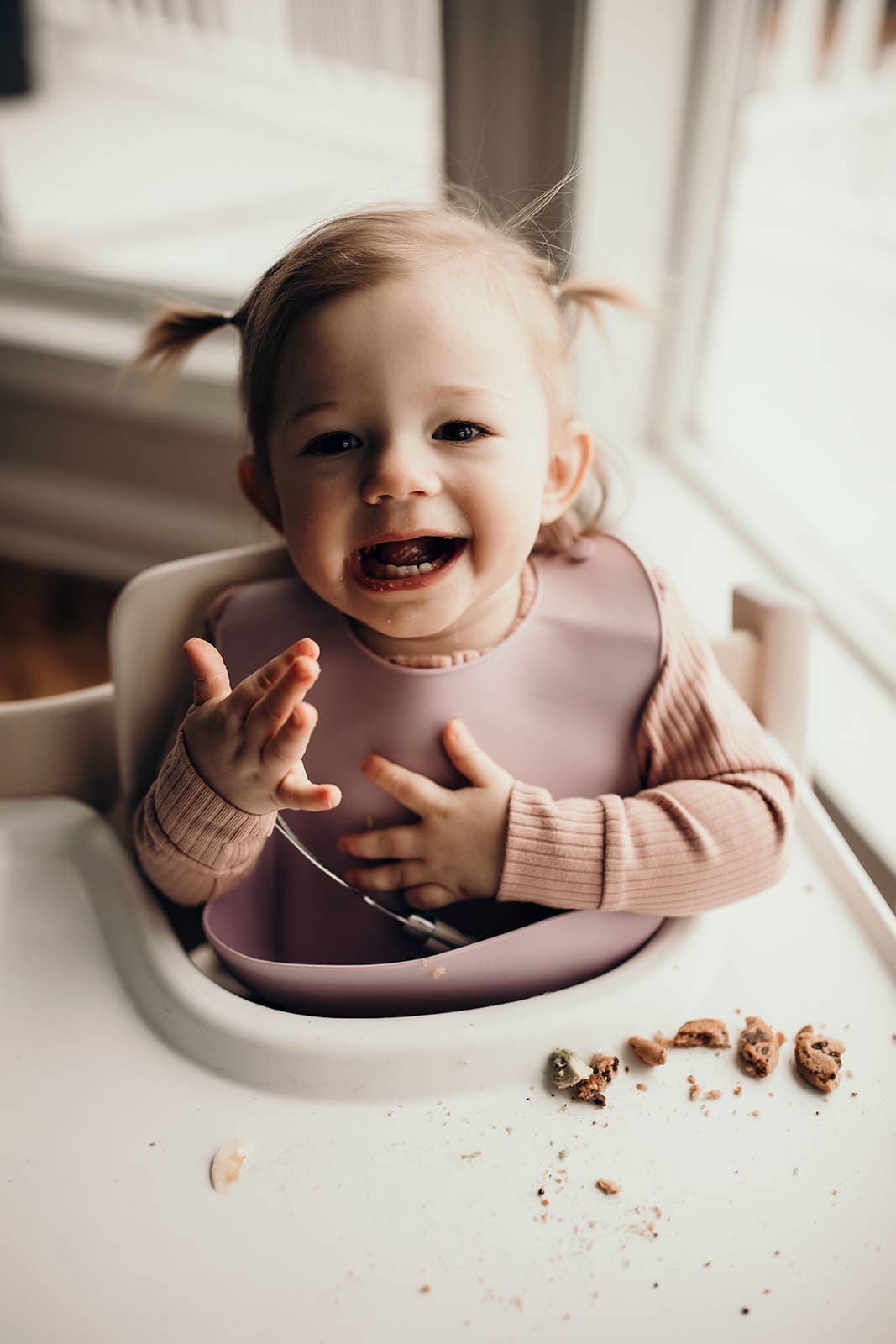 Lilac Print Silicone Bib with Crumb Catcher