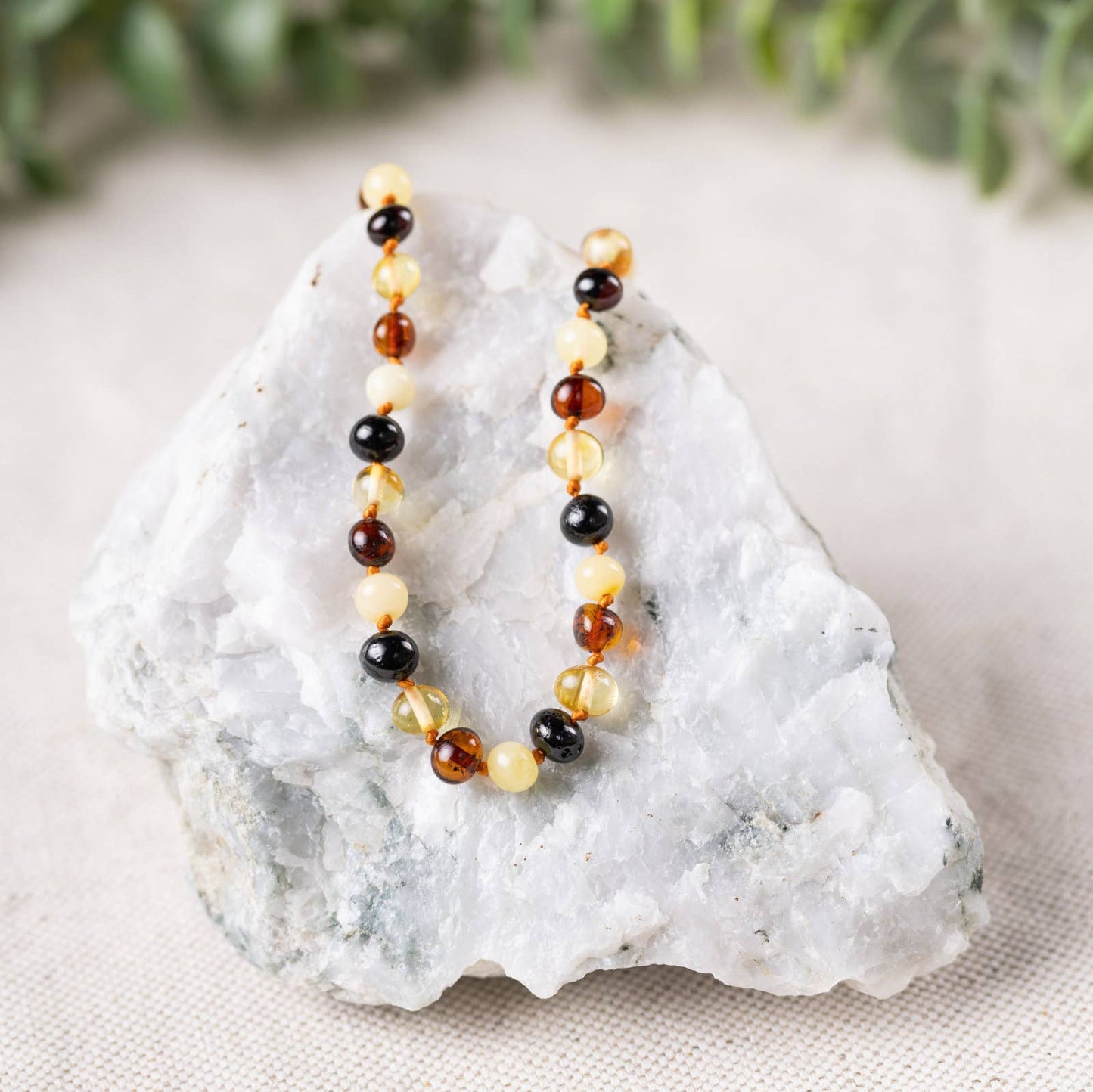 Baltic Amber Necklaces