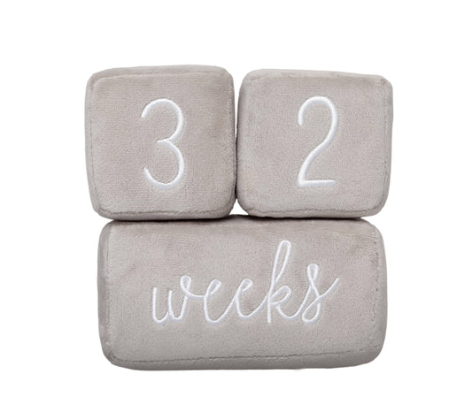 Baby Plush Photo Sharing Milestone Age Blocks, Gray