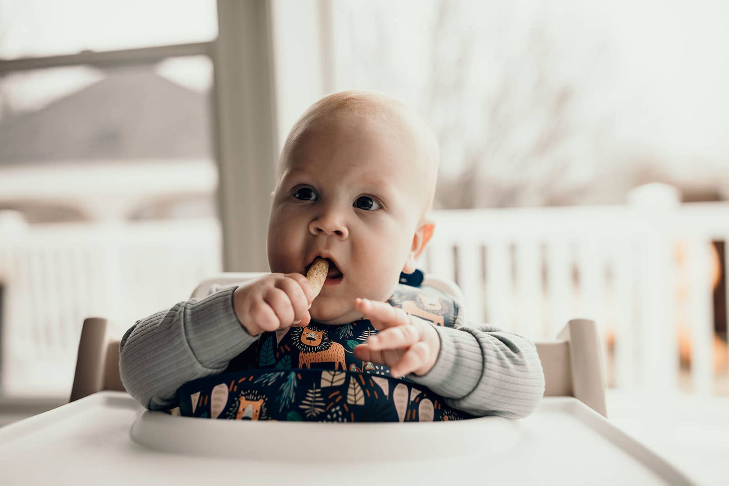 Zoo Lion Print Silicone Bib with Crumb Catcher