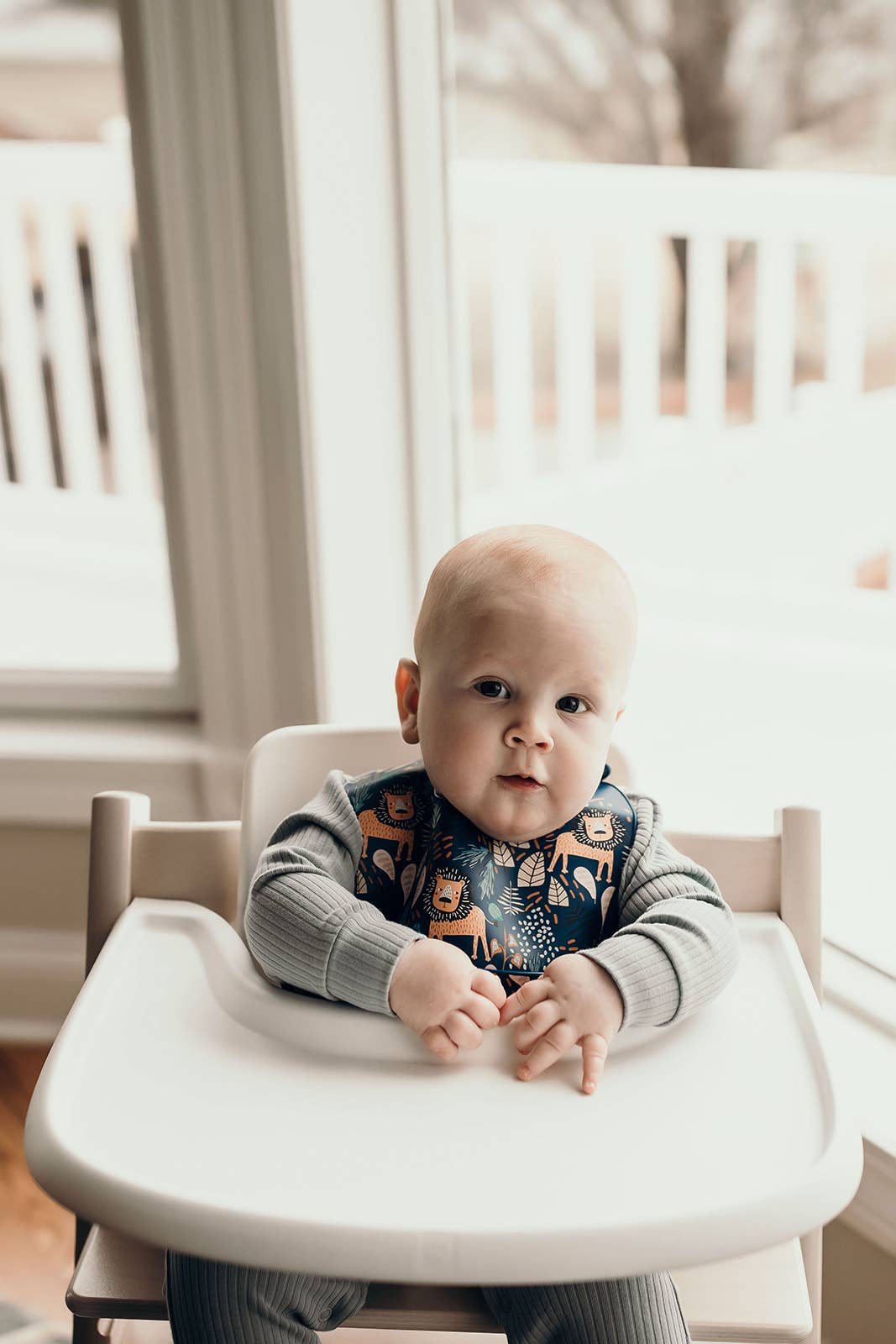 Zoo Lion Print Silicone Bib with Crumb Catcher