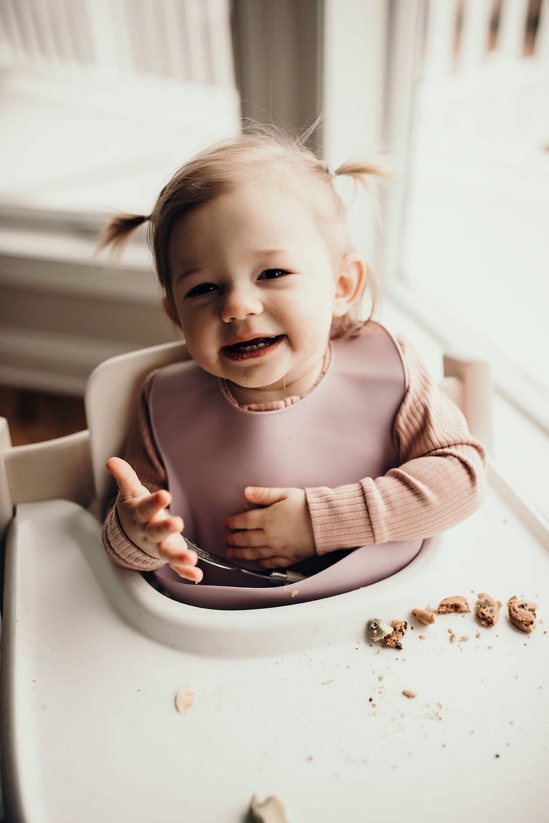 Lilac Print Silicone Bib with Crumb Catcher