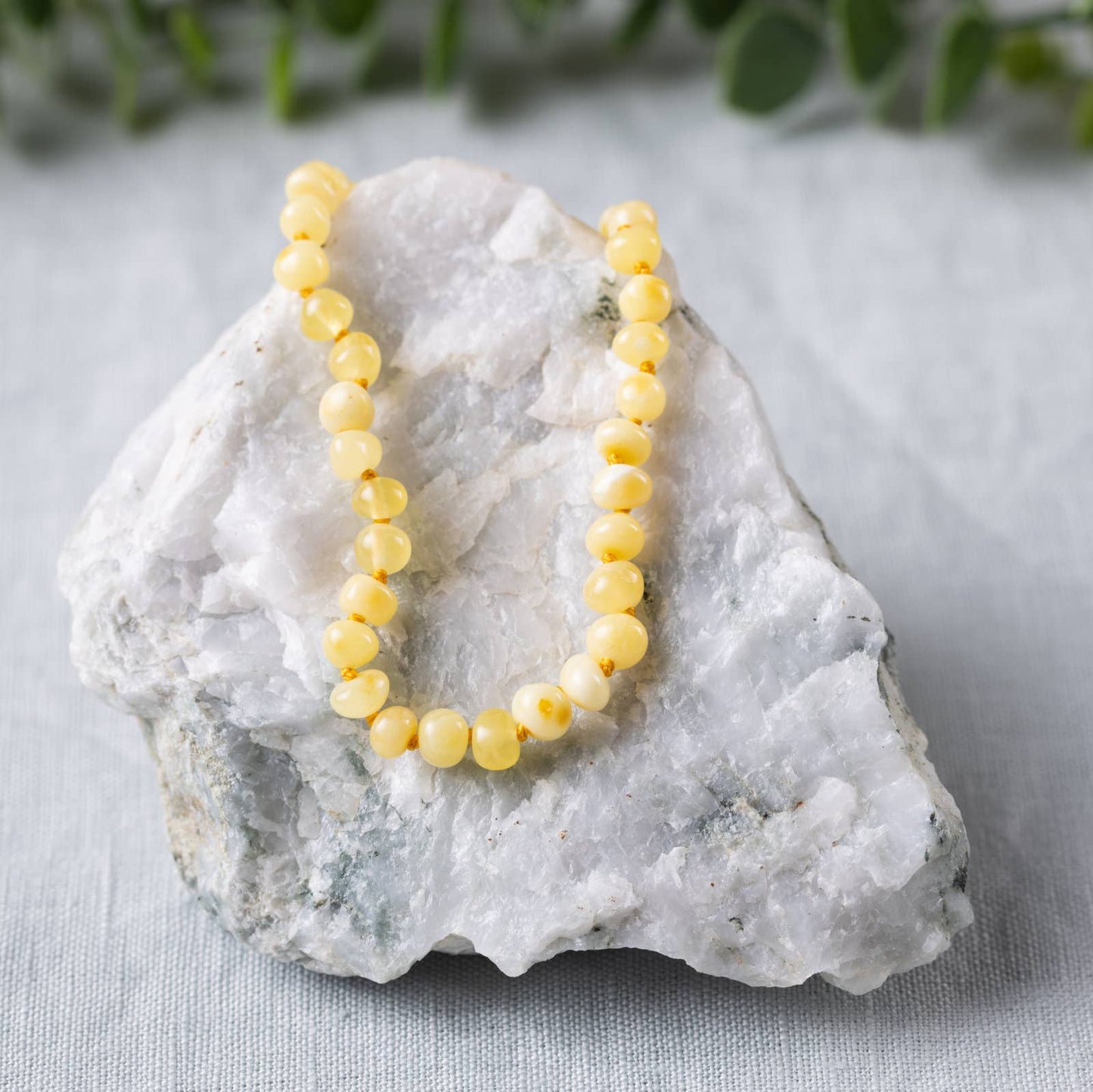 Baltic Amber Necklaces