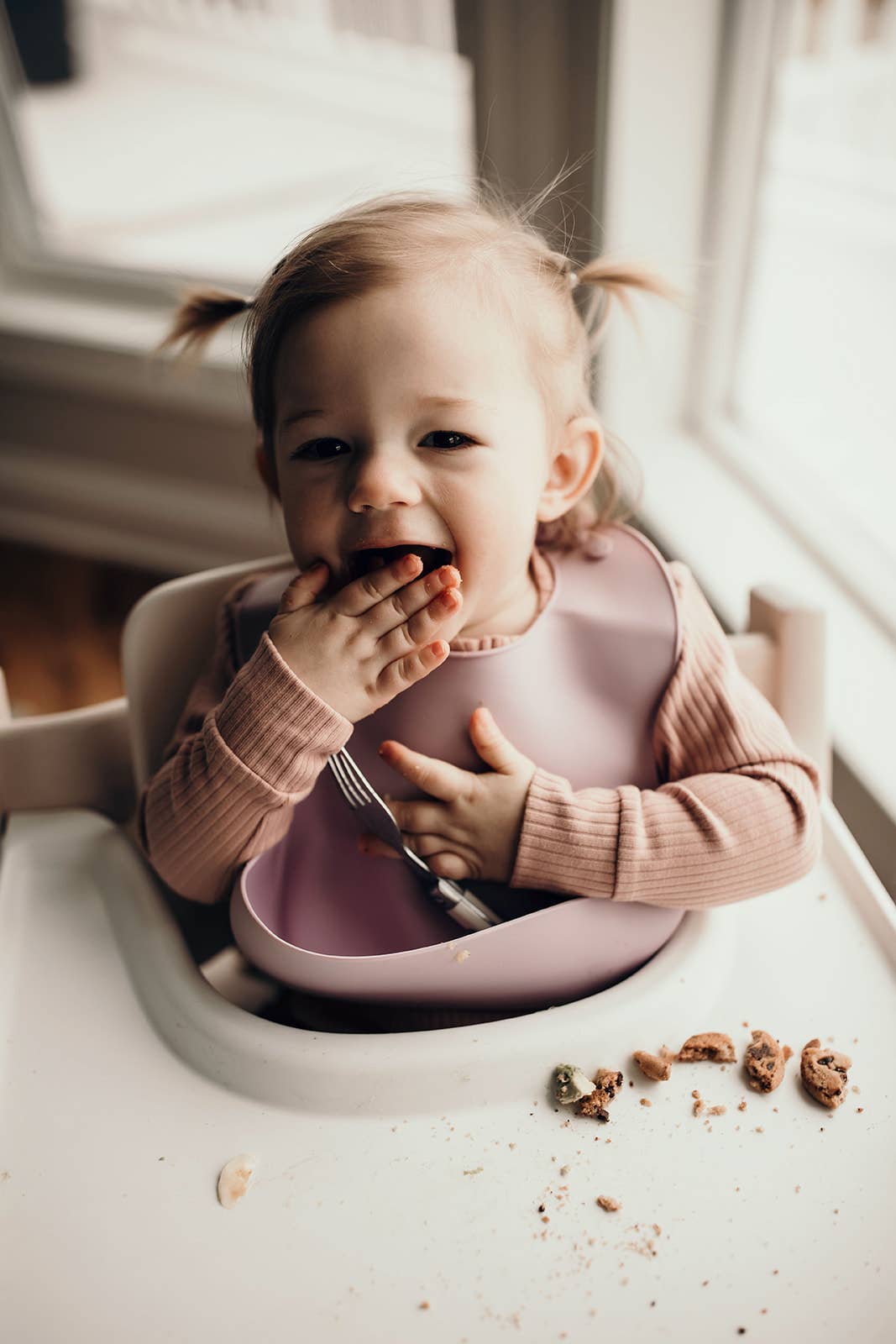 Lilac Print Silicone Bib with Crumb Catcher