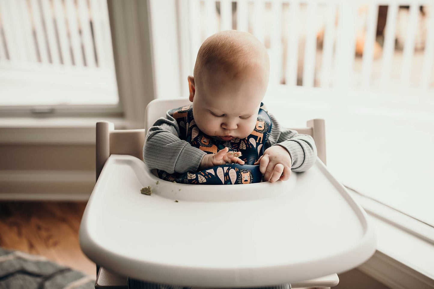 Zoo Lion Print Silicone Bib with Crumb Catcher