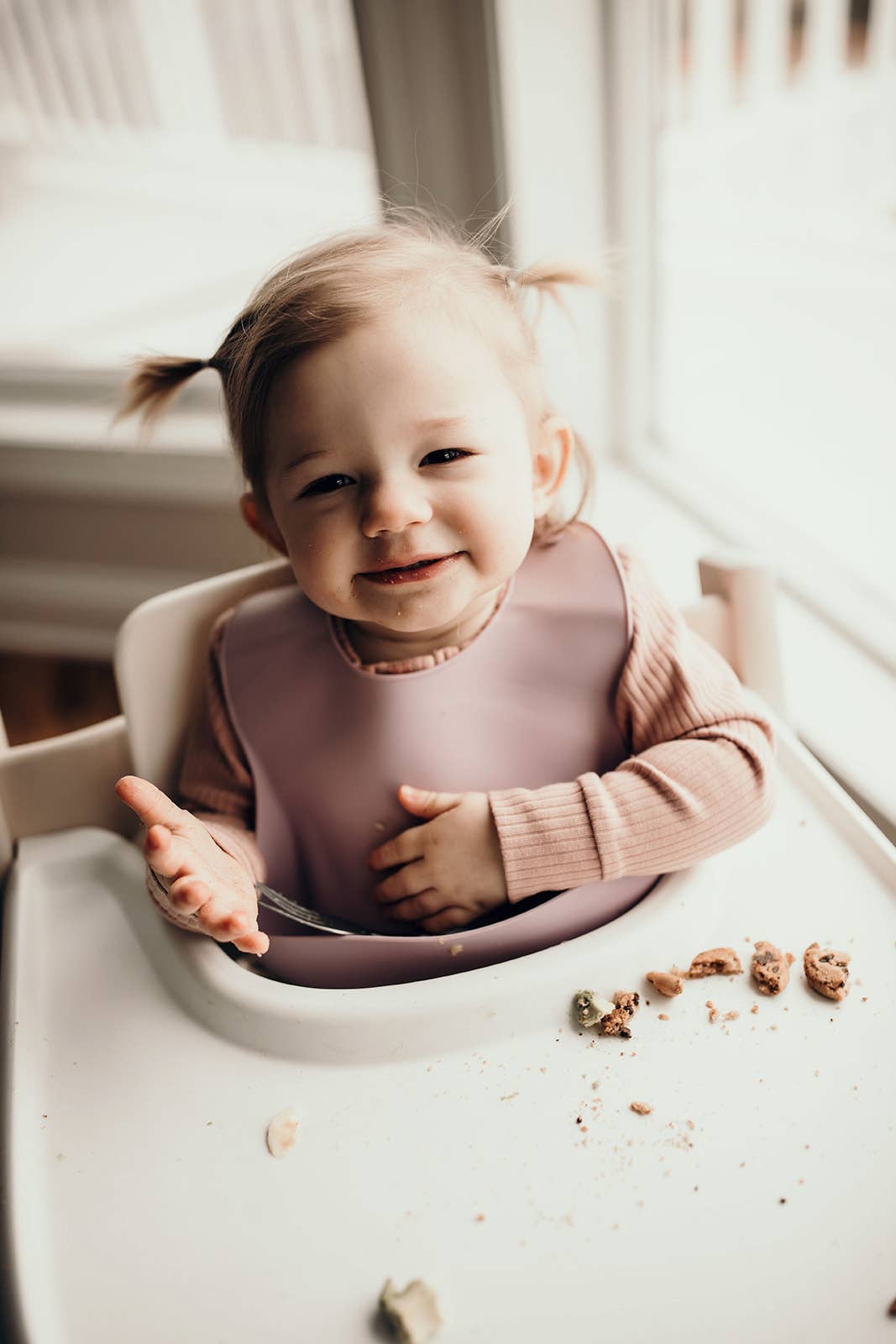 Lilac Print Silicone Bib with Crumb Catcher